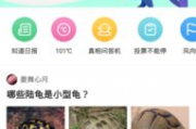 九一网页版免费在线电脑网页版,免费在线电脑网页版深度解析